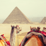 Ancient ‘Golden City’ Unearthed in Egypt Stuns Archaeologists