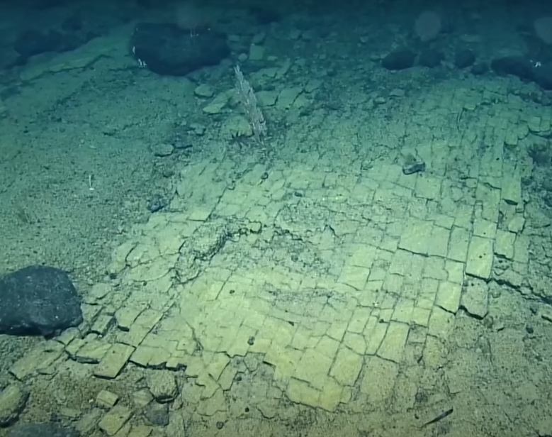 A Curious ‘Yellow Brick Road’ Found Deep Beneath the Pacific